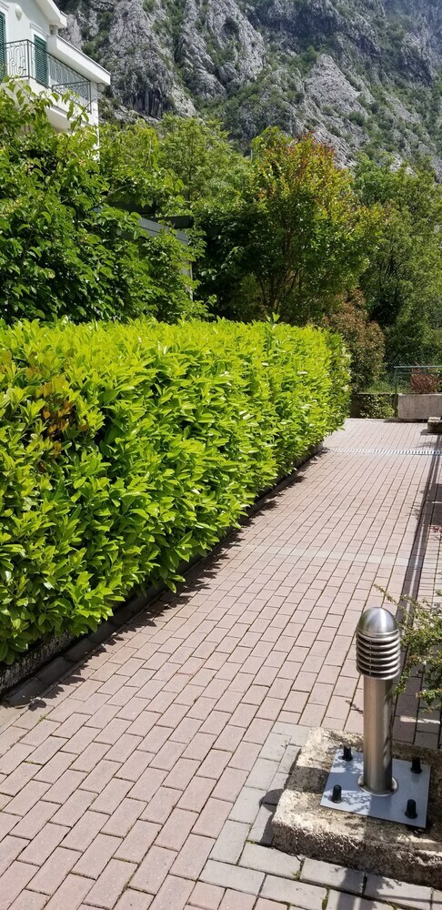 Apartamentos Green Village Kotor