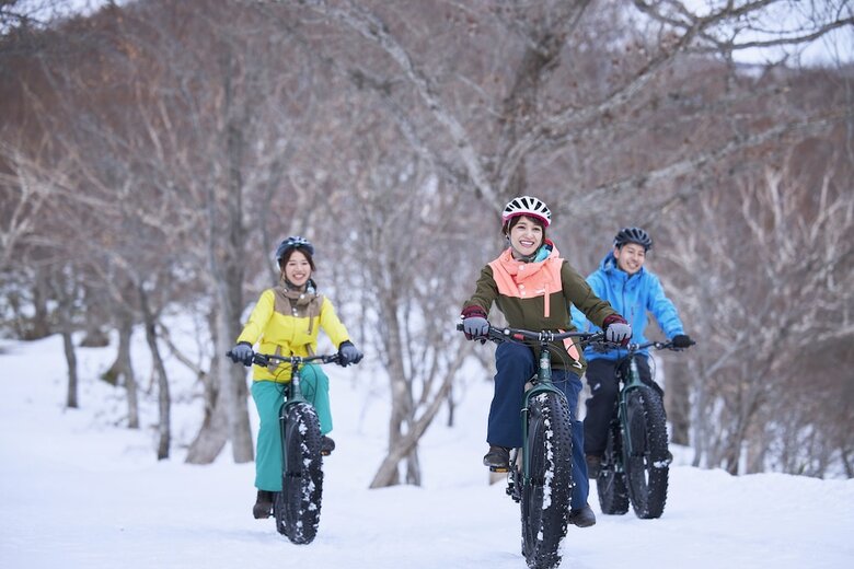 Hotel Hoshino Resorts Risonare Nasu