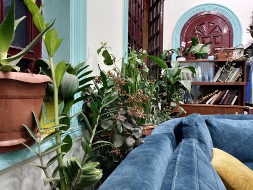 Hostal Flora Hostel