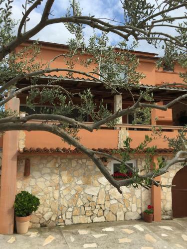 Hostal Guesthouse Tariba