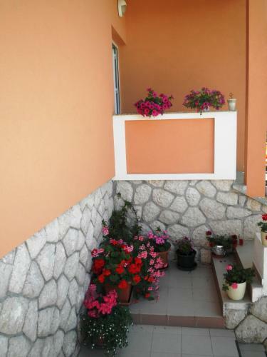 Apartments Melita