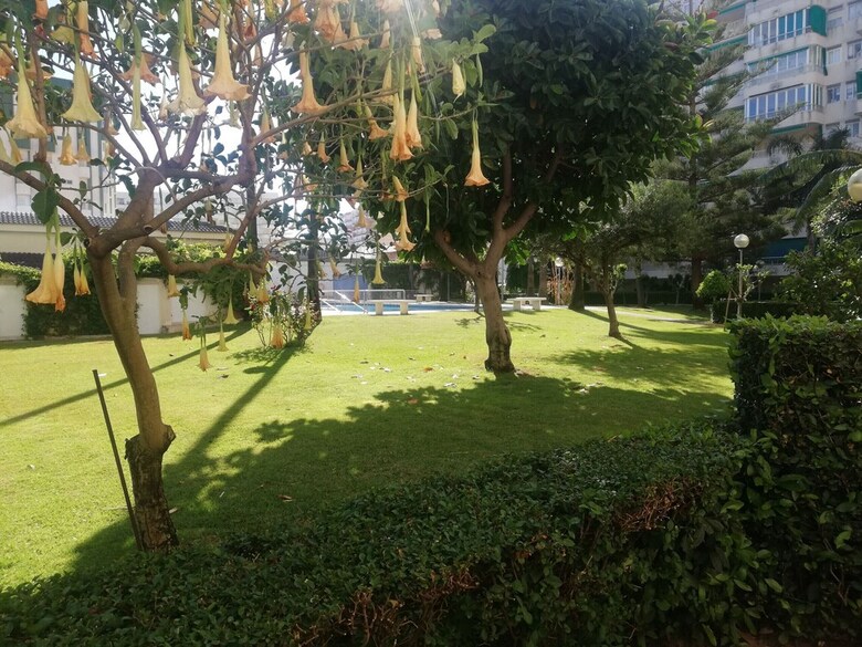 Apartamento 1.parque IV Esc 2 6� Pta 12