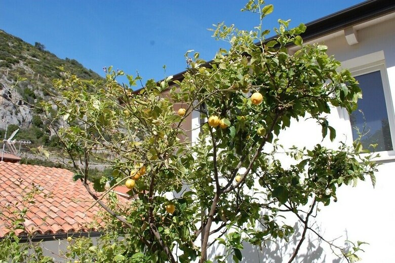 Boutique Apartments Buggerru