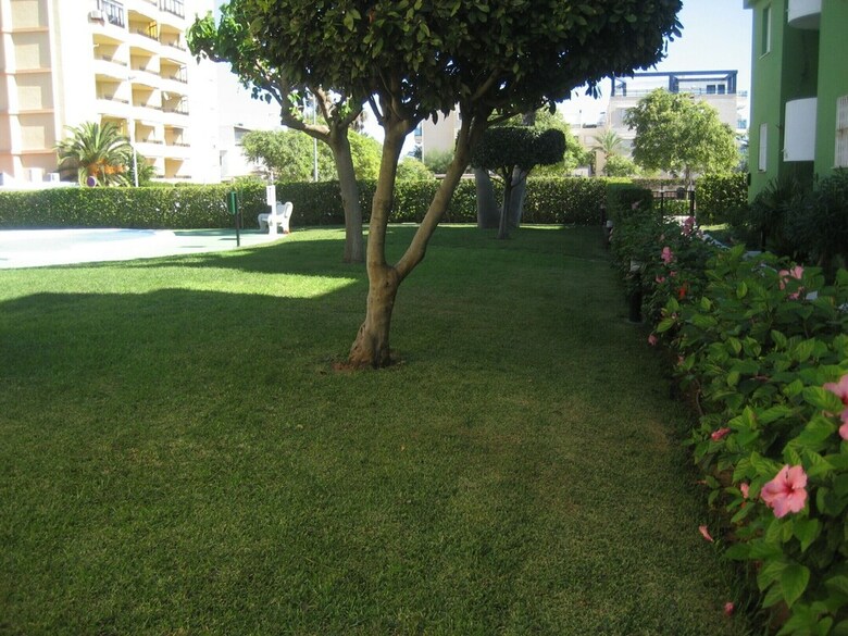 Apartamento Juncos 26