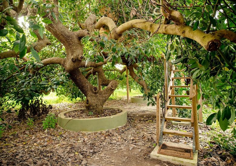 Hotel Orangia Ecohosting Farm