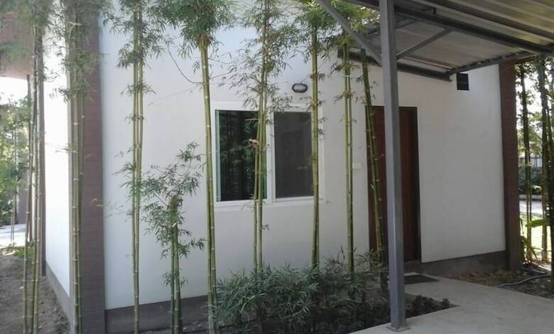 Hotel Oyo Black Bamboo Resort