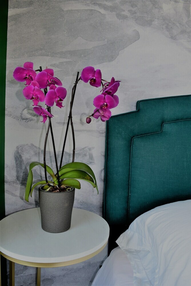 Bed & Breakfast Adina