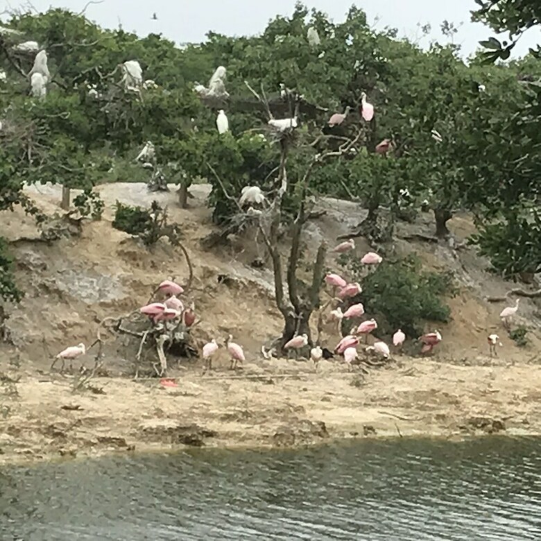 Out By The Sea Bed & Breakfast