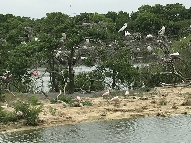 Out By The Sea Bed & Breakfast