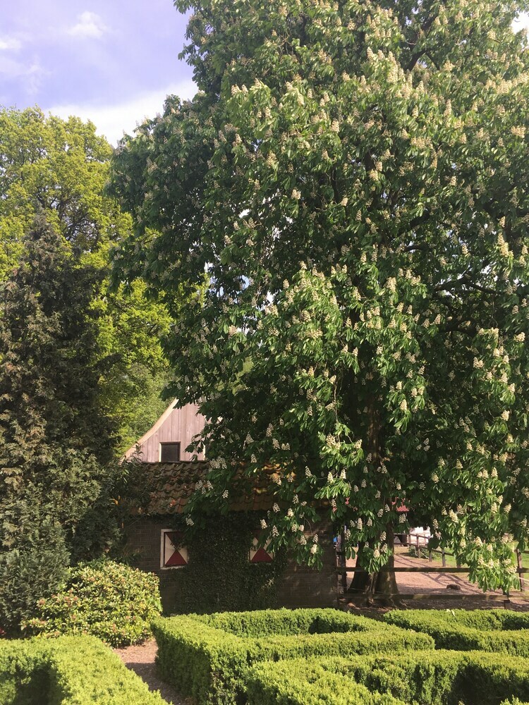 Hotel Erve Het Roolvink