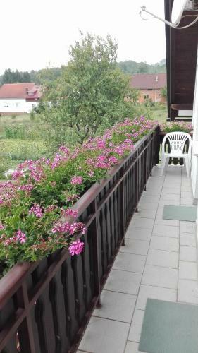Hostal Guest House Adrijana