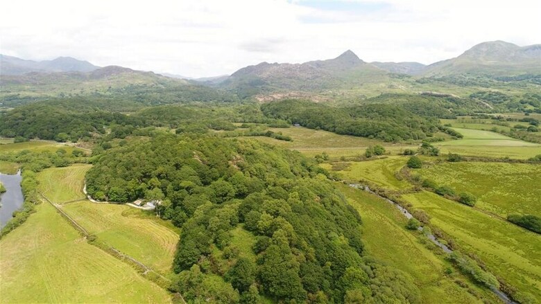 Cerrig Y Rhwydwr