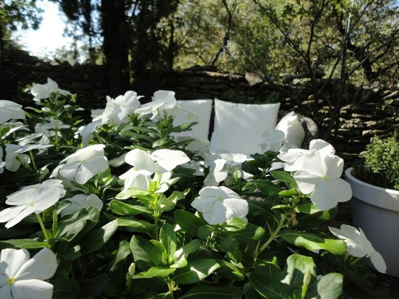 Bed & Breakfast La Chenaie de Gordes