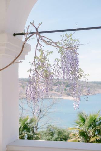 Pavi Apartments Vila Amalia