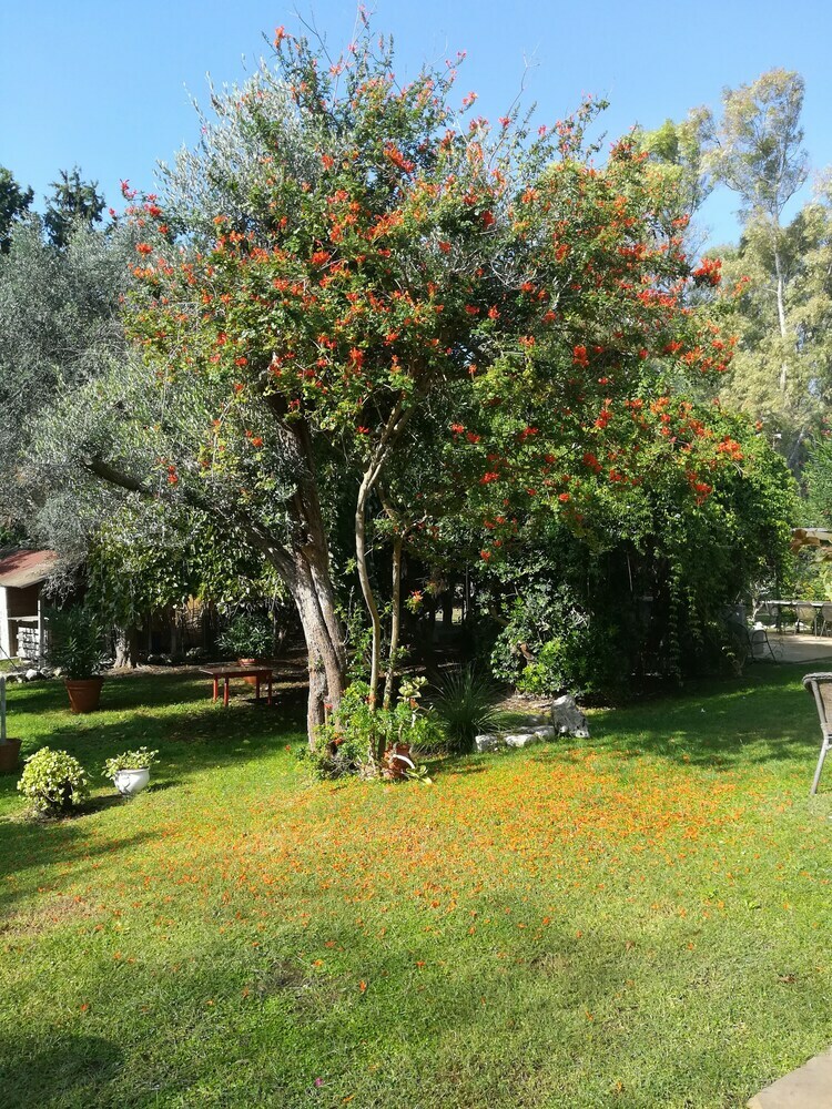 Apartamento Villa Olivia