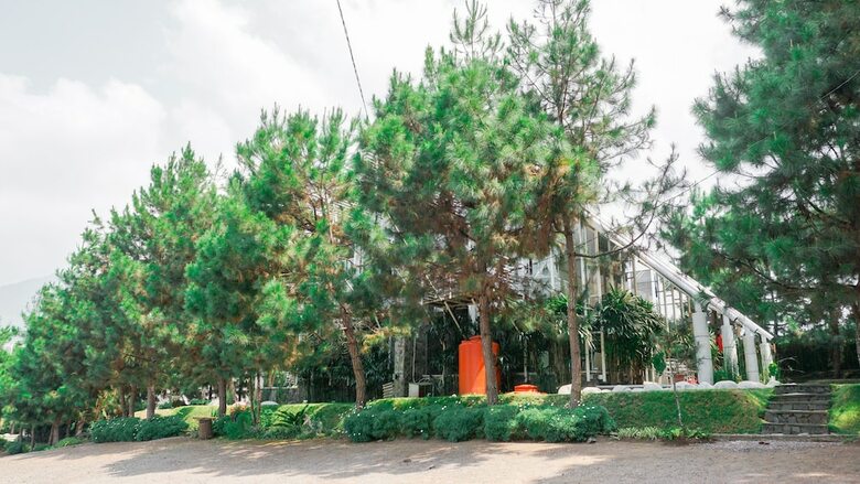Bed & Breakfast Vila Air Natural Resort