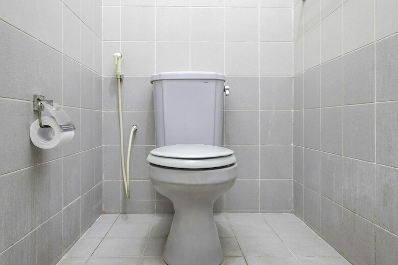 Hotel Oyo 1608 Feby Maisonatte