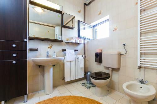 Apartment Hosana