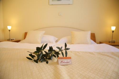 Apartamentos Villa Punta