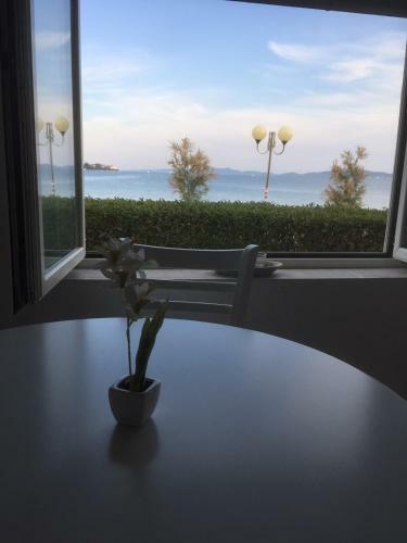 Apartamentos Villa Punta