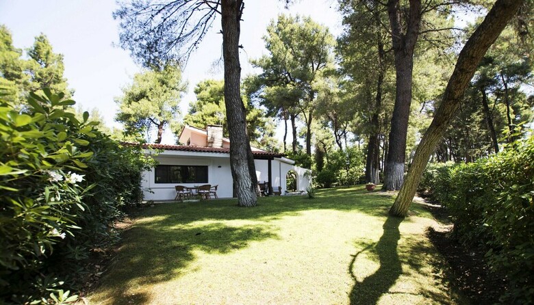 Villa Irini In Sani With Garden And Pool