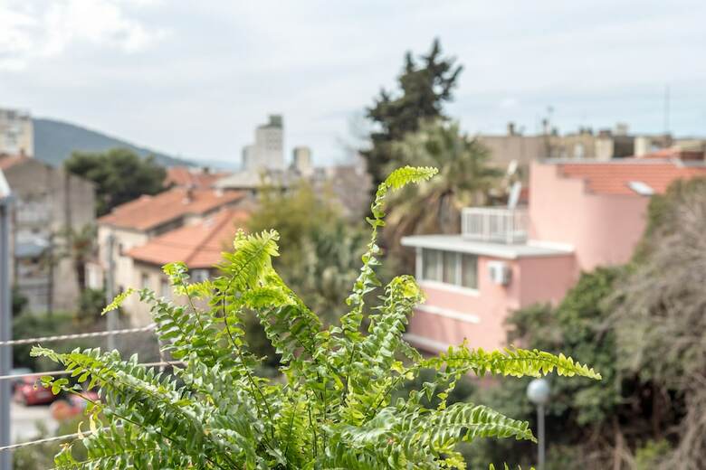 For All Seasons Apartment With Garden
