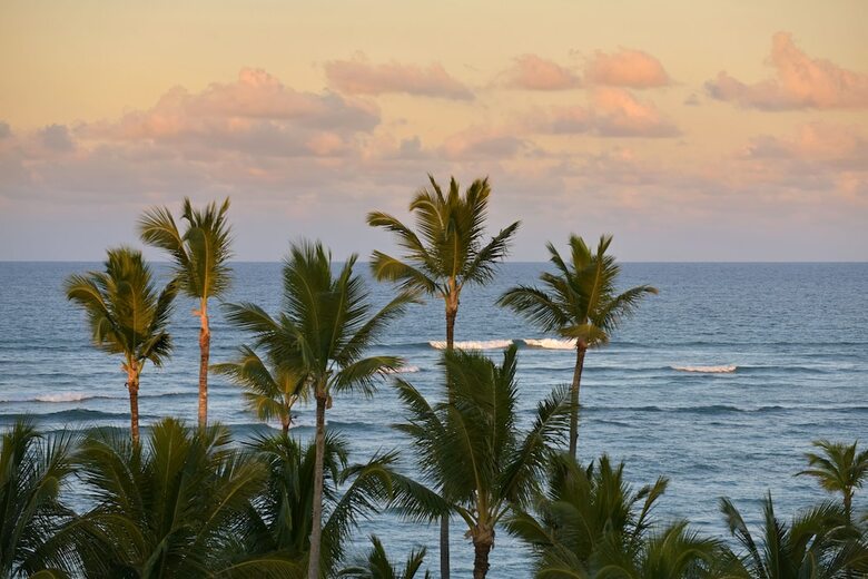 Hotel Iberostar Dominicana All Inclusive