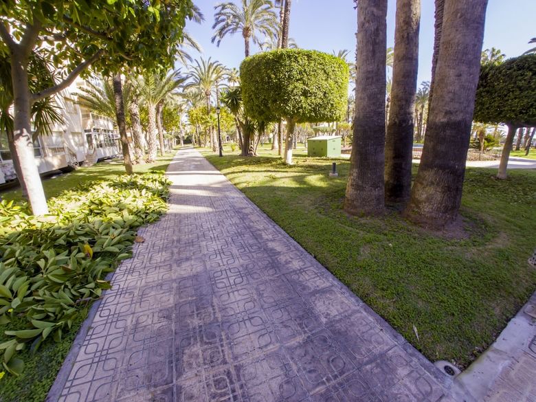 Apartamentos Torrevieja Experience El Palmeral
