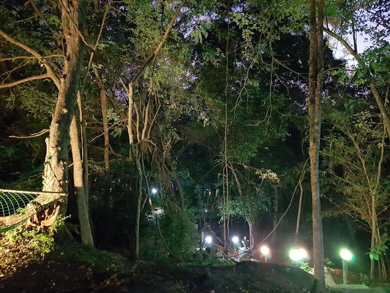 Hotel Green House Resort