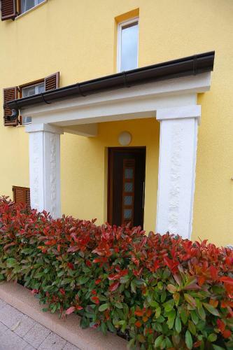 Apartments Ivana - Iva