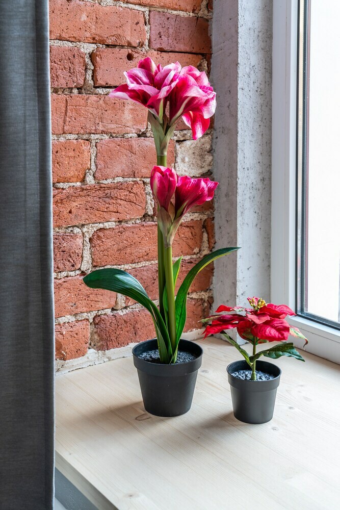 Letyourflat Apartments Loft A