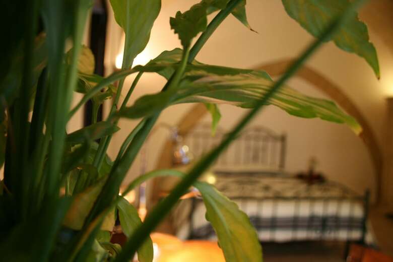 Bed & Breakfast Antiche Volte