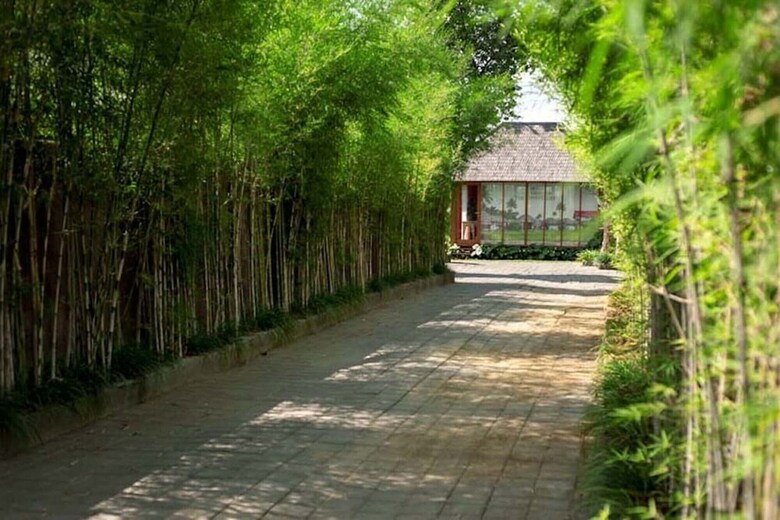 Villa Aprikot