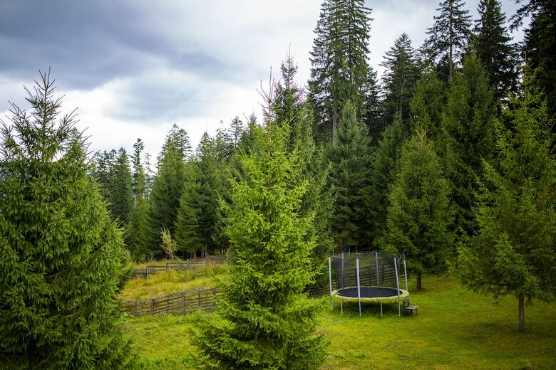 Hotel Floare de Colt Bucovina