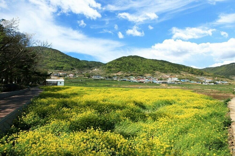 Namhae Dream Pension