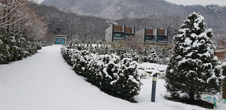 Enfold Pension
