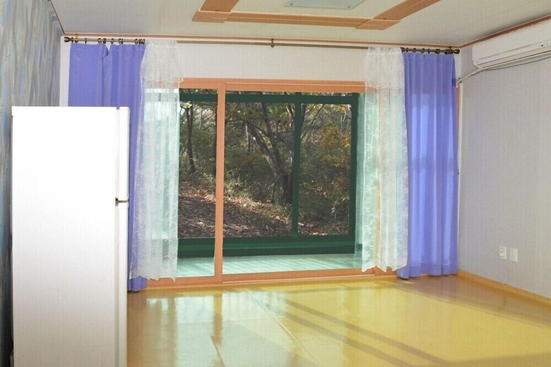 Pension Dodumir House