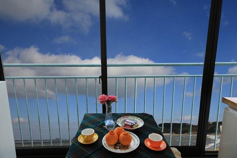 Pension Dodumir House