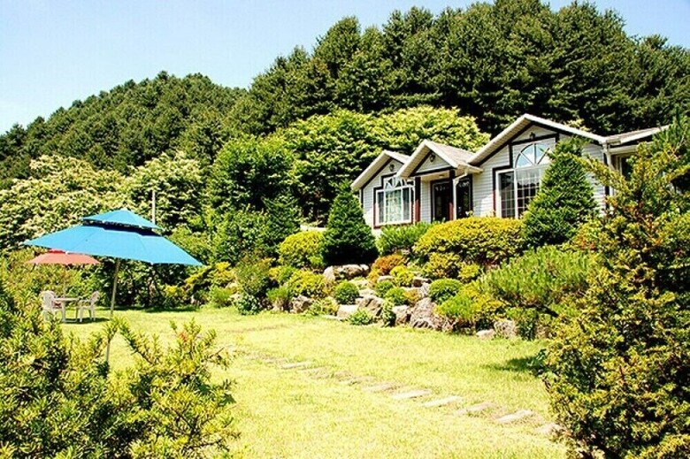 Seasonal Sky Pension