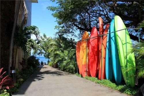 Kahana Moe : Dream Came True