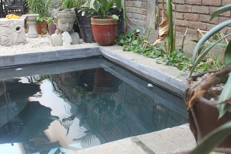 Hotel Mandalas House