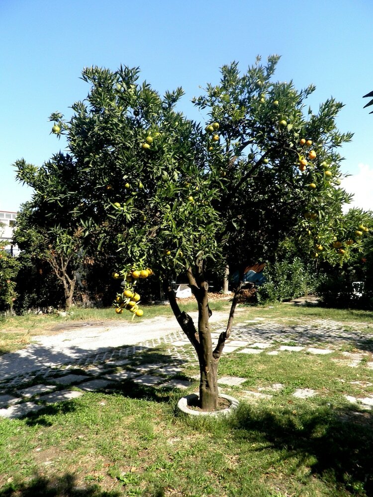 Bed & Breakfast Villa Rocla Guest House Pompei