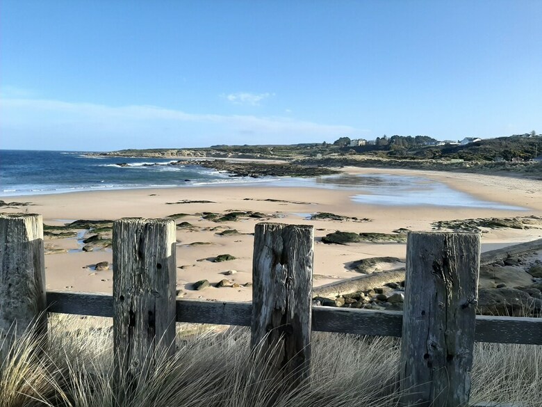 Taid's Retreat
