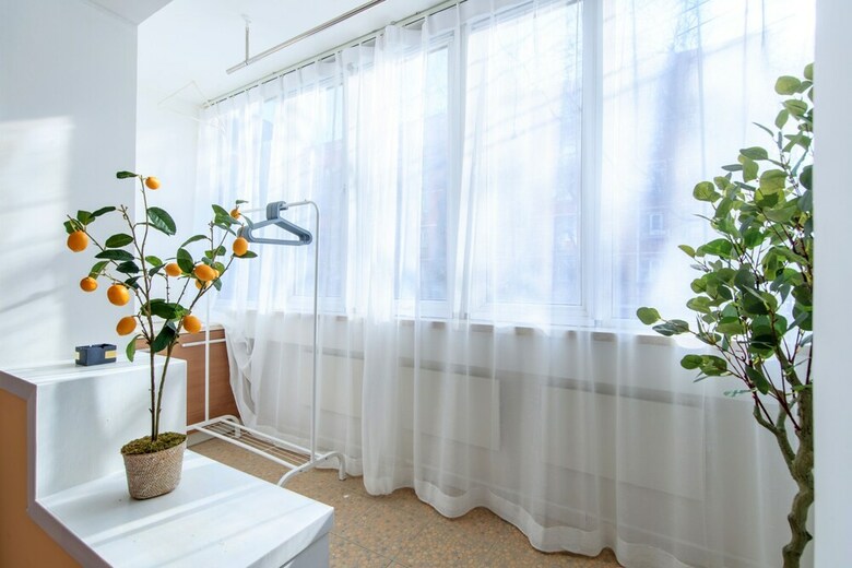 Apartamentos Cactus Space No.79