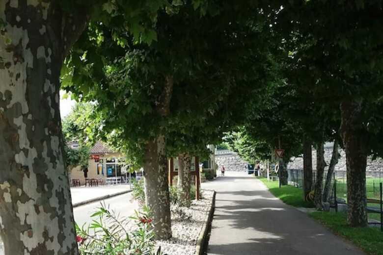 Camping De L'ard�che
