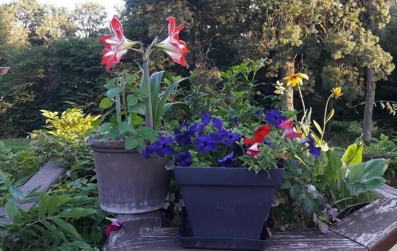Bed & Breakfast Chez Dame Suzanne