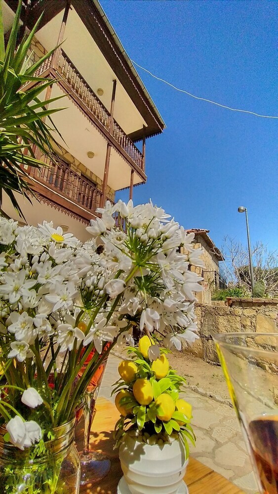 Hotel Lemon Boutique Otel