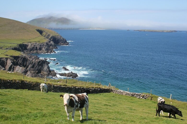 Apartamento Dingle Courtyard Cottages 3 Bed Sleeps 6