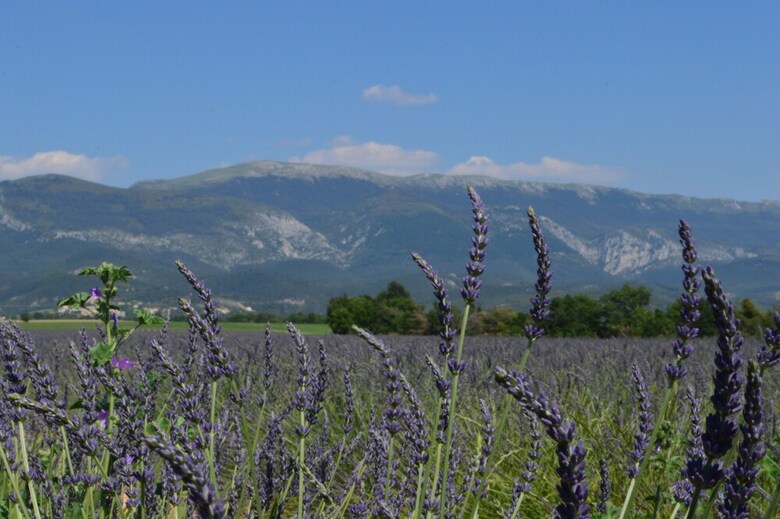 Gites Couleur Menthe � L'o