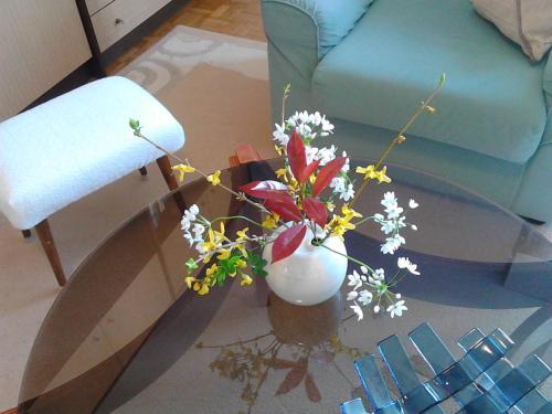 Apartment A/pu